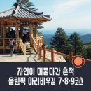 자연이 머물다간 흔적 올림픽 아리바우길 7·8·9코스