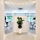 강동구 성내동 치과 연세보스톤치과의원 진료시간 접근성 이용후기