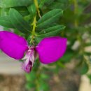 아산가든 이미지