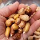 흙사랑3농장 이미지