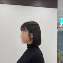 바르다헤어 이미지