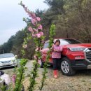 덕연농장 이미지