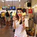 Hi라거매니아 | 하와이자유여행 ::: 오하우 드라이브코스 돌파인애플농장