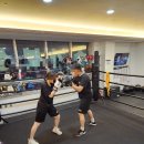 슈가복싱 이미지