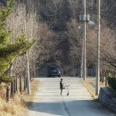 배내의아침 독채펜션 이미지