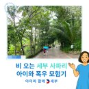 꿈꾸는 기린 약국 | 세부 사파리 &amp; 어드벤처 파크 투어! 아이와 우기 속 동물원 체험기