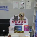 이층약국 이미지