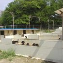 베르네집 이미지