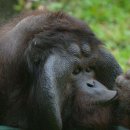 미다스짐 헬스 이미지