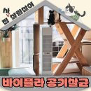 대금교실 | 바이플라 공기살균기로 고양이집 건강까지 관리해요