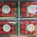 오늘 과일 이미지