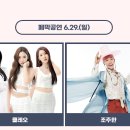 꽃길만걷자 이미지