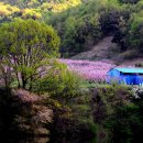 문촌3리 이미지