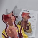 좋은아침외과의원 이미지