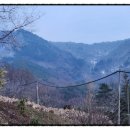 둥지세신 이미지