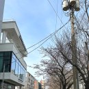 그린힐 앞 이미지