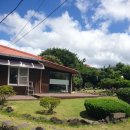 제주부동산중개사무소 이미지