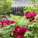 금강당 - 제천시 풍양로 108 | 금강당