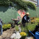 &#34;텃밭으로 활력을&#34; 도시농업 새 모형 &#39;다모이길&#39; 익산에 조성 이미지