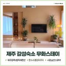 제주무화펜션 | 제주 동쪽 감성숙소 무화스테이 미치게 좋은 구좌 수영장 독채펜션