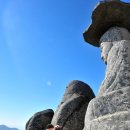 경산공룡박물관 이미지