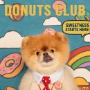 김포애견클럽 이미지