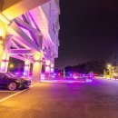 파인아트라벨 이미지