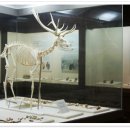 선사유적로 이미지