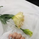 달콤네일/스킨스토리