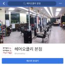 헤어오클리 이미지