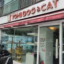 분당 요미독앤캣 강아지분양 고양이분양 이미지