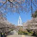 키즈시네마 7월 | 군산 오션펠레트 7월 개장! 7월 여름 오션펠레트 근교 군산 가볼만한곳