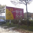 황토오리 이미지