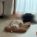 새아침안마원 | (생각해보니) 야 여기 내가 주인공이야