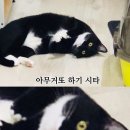 인생비어 - 서구 | 인생비어