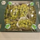 청송태권도장 | 포토덤프 챌린지 #12