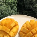 방배로 46 (1) 이미지