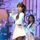 신라TD 티브이데일리