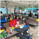 강철태권도 이미지