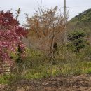 도곡우체국 이미지