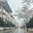 동성유스텔 | 가성비 숙소 _ 불국사 동성유스텔