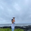 마린포트리조트 이미지