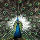 준호농장 이미지