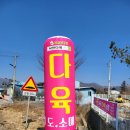 낙안풍경소리다육농장