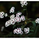 감사교육원 이미지