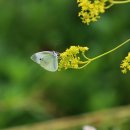 15 수 고단한 삶을 위한 장치 이미지