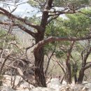 강서물산 이미지