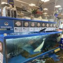 대해횟집 이미지