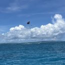 사이판모텔 | 사이판 켄싱턴 호텔 리조트 내돈내산 조식 수영장 후기 + 최저가 예약 꿀팁