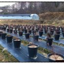 외서농장 이미지